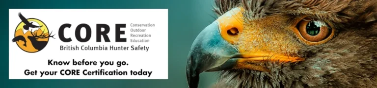 CORE Banner 1024x241